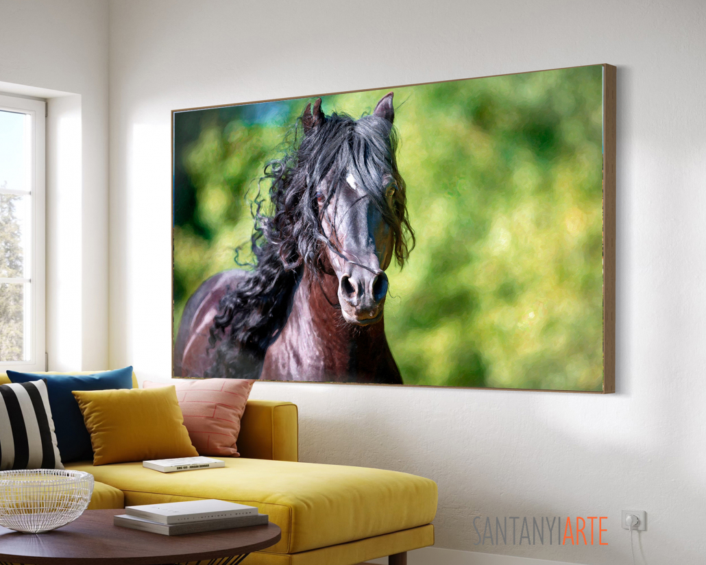 602 BEAUTIFUL ANDALUSIAN HORSE jpg